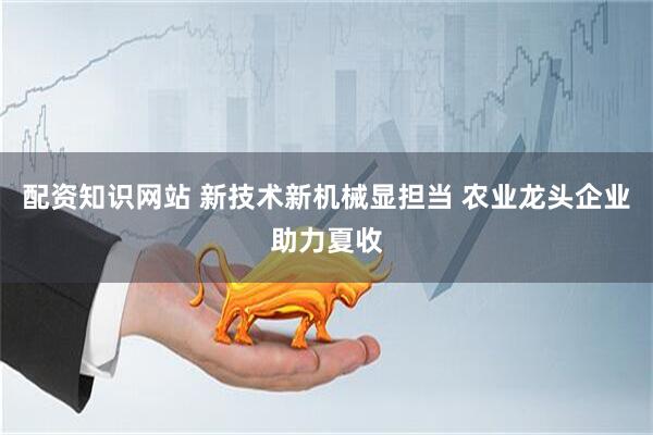 配资知识网站 新技术新机械显担当 农业龙头企业助力夏收
