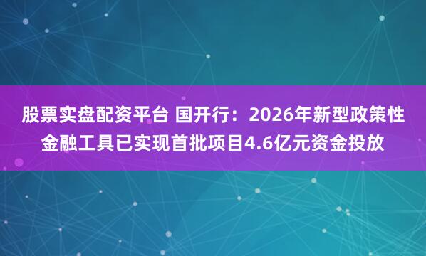 股票实盘配资平台 国开行：2026年新型政策性金融工具已实现首批项目4.6亿元资金投放